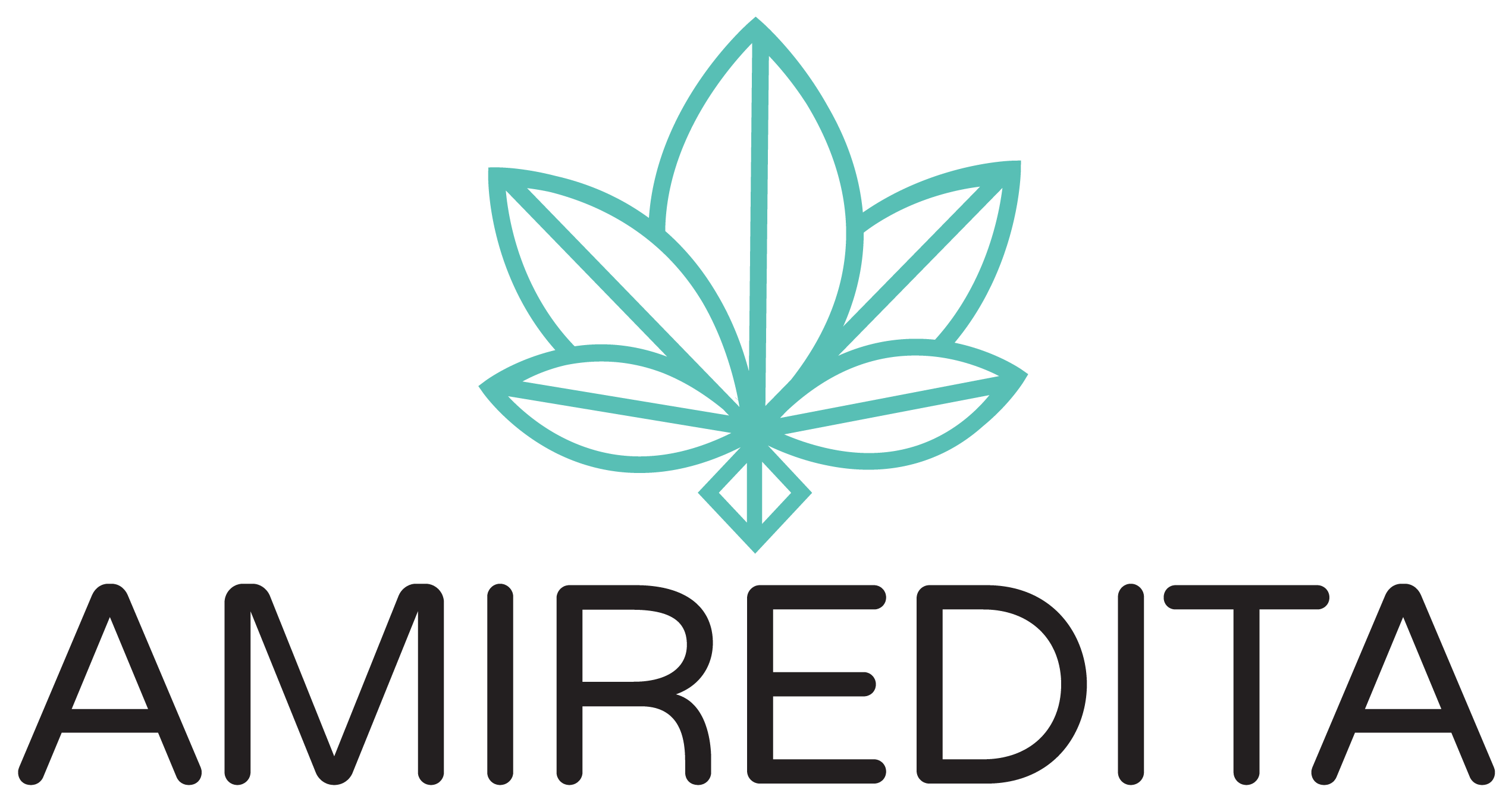 Amiredita
