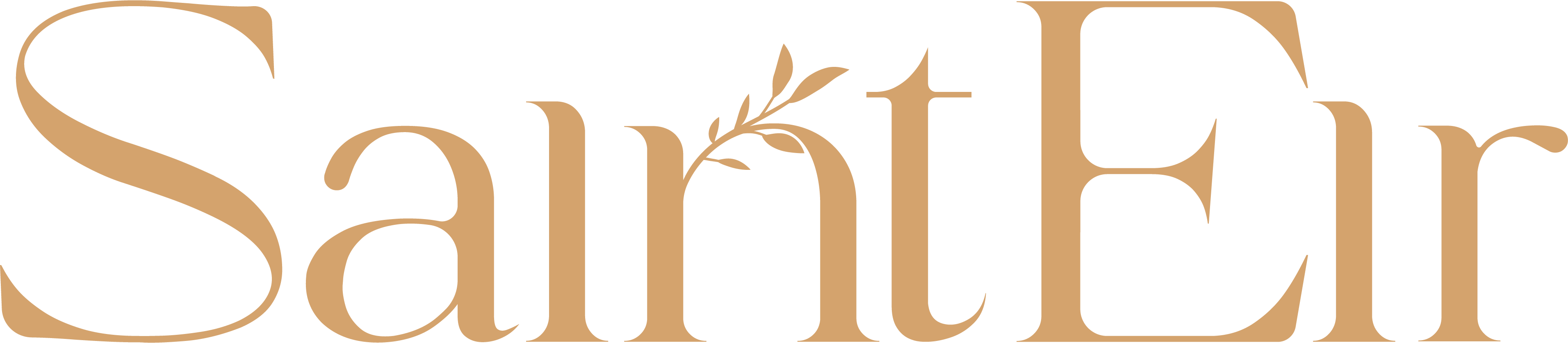 Saint Eir